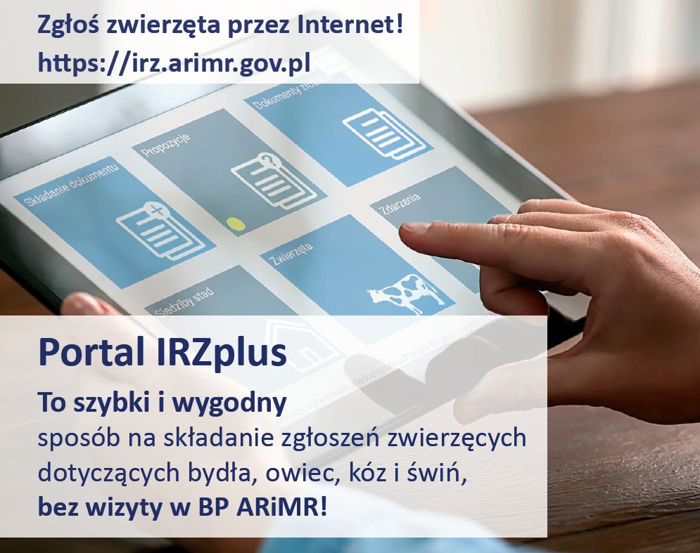  Portal IRZplus